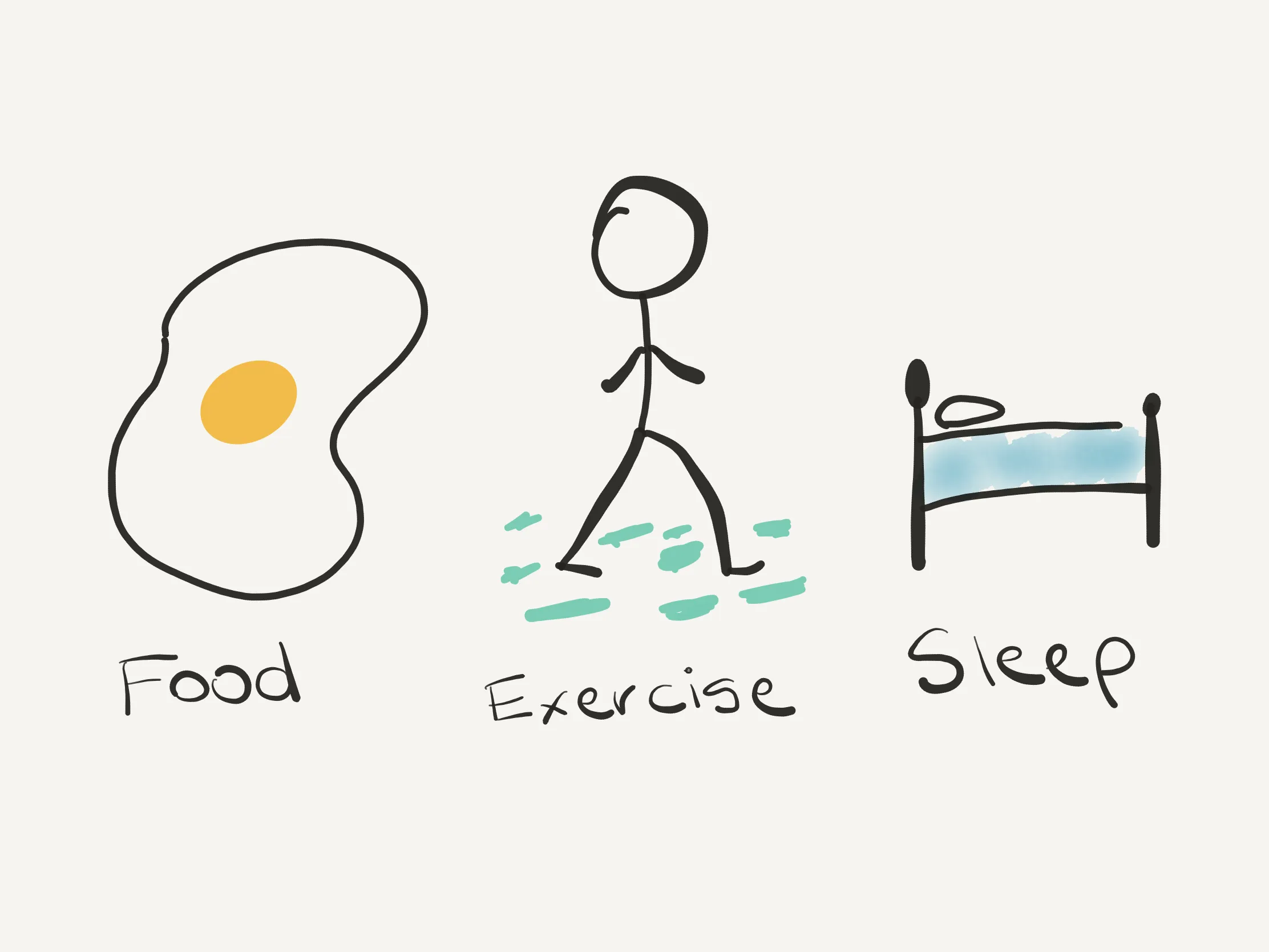 نقش تغذیه و خواب در رشد عضلات 