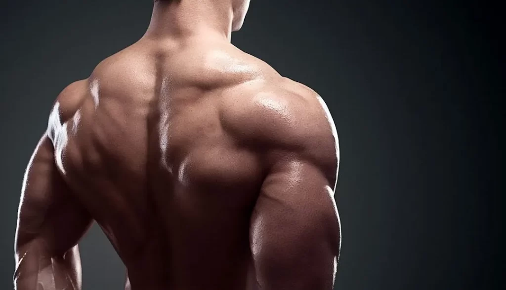 آموزش سوپر ست انفجاری سرشانه های خلفی