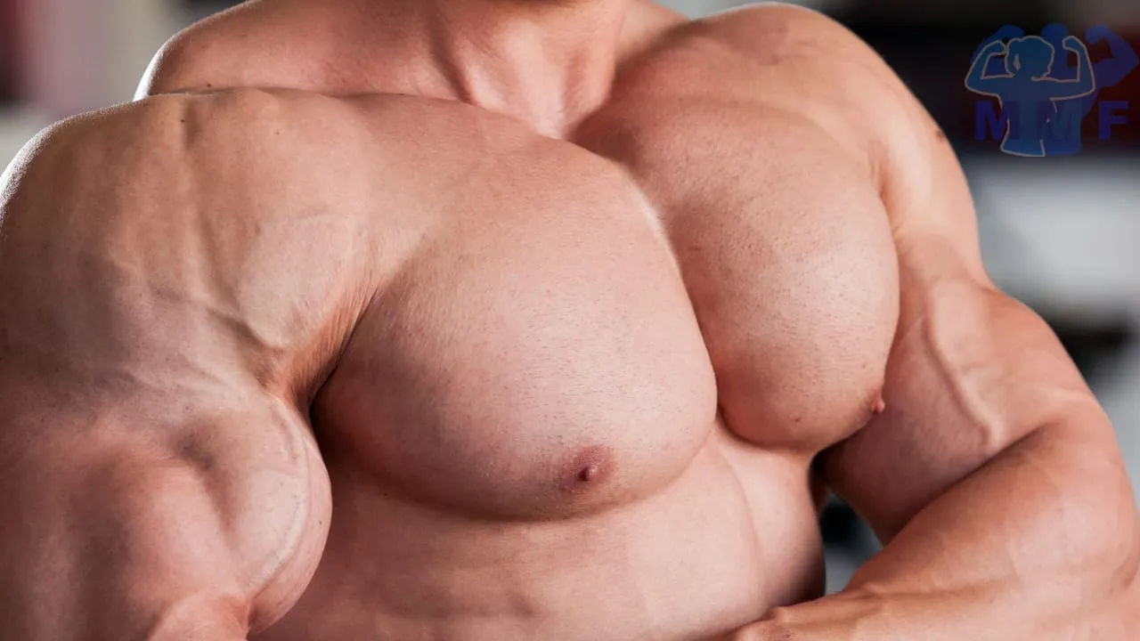3 تمرین سریع بدنسازی برای بزرگتر شدن سینه های آقایان